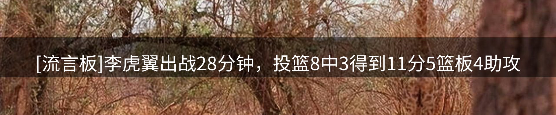 新闻导览